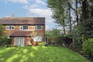 Photo 38- click for photo gallery